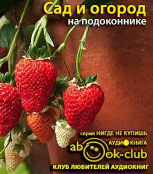 Сад и огород на подоконнике HubKnigi — Аудиокниги Онлайн | Классика, Детективы, Поэзия и Более